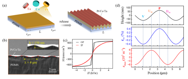 U020260228333442156578.png